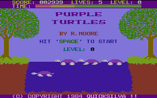Purple Turtles 0