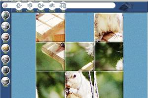 Puzzle Madness 8
