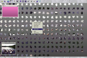 Puzzle Master 2 11