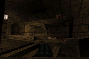 Quake Mission Pack No. 2: Dissolution of Eternity abandonware