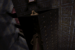 Quake Mission Pack No. 2: Dissolution of Eternity 1