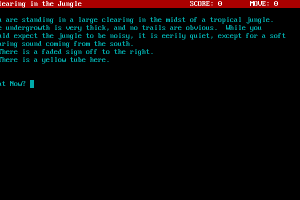 Quest for the Black Pearl 6