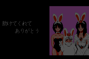 Rabbit Punch 19
