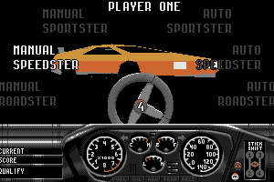 Race Drivin' abandonware