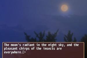 Radiata 1
