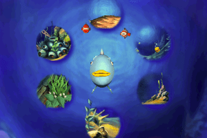 Rainbow Fish: The Most Beautiful Fish in the Ocean 1