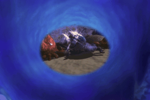 Rainbow Fish: The Most Beautiful Fish in the Ocean 3