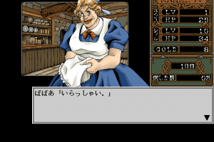 Rance IV: Kyōdan no Isan 11