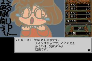 Rance IV: Kyōdan no Isan 19