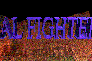 Real Fighter 1