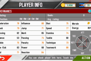 Real Football Manager 2013 13