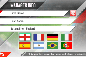 Real Football Manager 2013 2