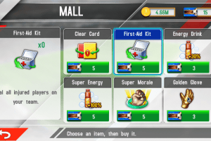 Real Football Manager 2013 37