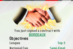 Real Football Manager 2013 45