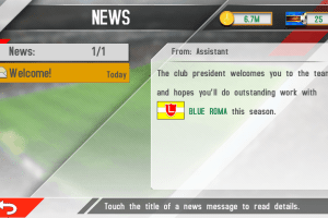 Real Football Manager 2013 8