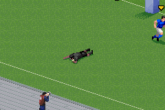 Real Rugby 24
