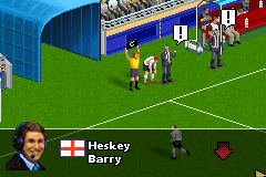 Real Soccer 2011 22