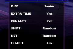 Real Soccer 2011 4