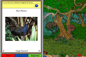 Really Wild Animals: Swinging Safari - Explore and Print 6