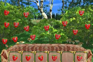 Red Riding Hood: Mathematics for Preschoolers 6