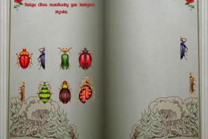 Red Riding Hood: Mathematics for Preschoolers 8