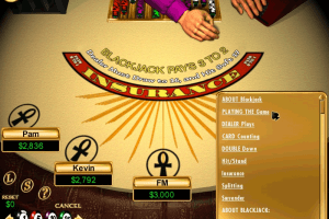 Reel Deal Casino: Shuffle Master Edition 2