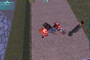 Rettungswagen-Simulator 2014 11