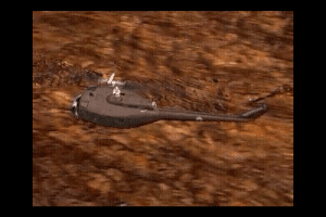 Rezerwowe psy 2