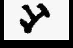 Ring ∞ abandonware