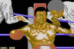 Ringside 5