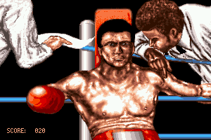 Ringside 5