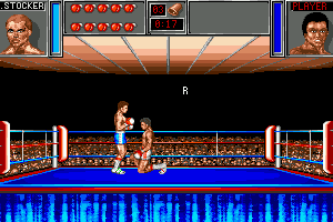 Ringside 8