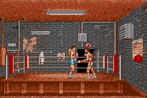 Ringside 2
