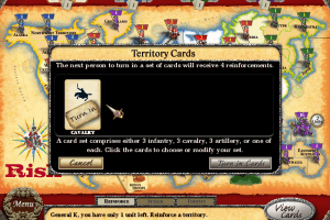 Risk 11