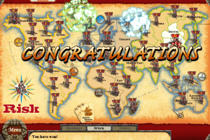 Risk 13