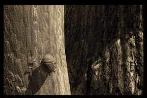 Riven: The Sequel to Myst 11