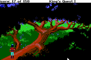 Roberta Williams' King's Quest I: Quest for the Crown 14