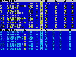 Robin Smith's International Cricket abandonware