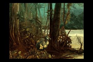 Robinson Crusoe 15