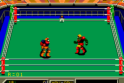 Robo Wres 2001 4