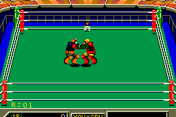 Robo Wres 2001 5
