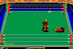 Robo Wres 2001 6