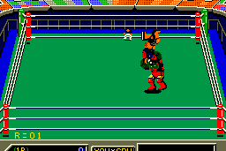 Robo Wres 2001 7