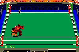 Robo Wres 2001 8