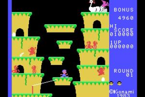 Roc 'N Rope 2