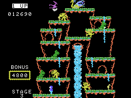 Roc 'N Rope 4