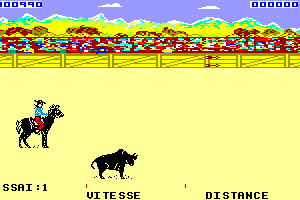 Rodeo 9
