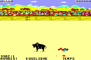 Rodeo 12