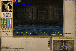 Rolemaster: Magestorm 13