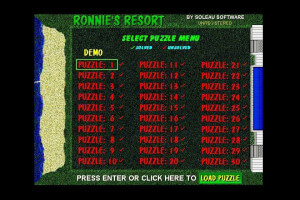Ronnie's Resort 1
